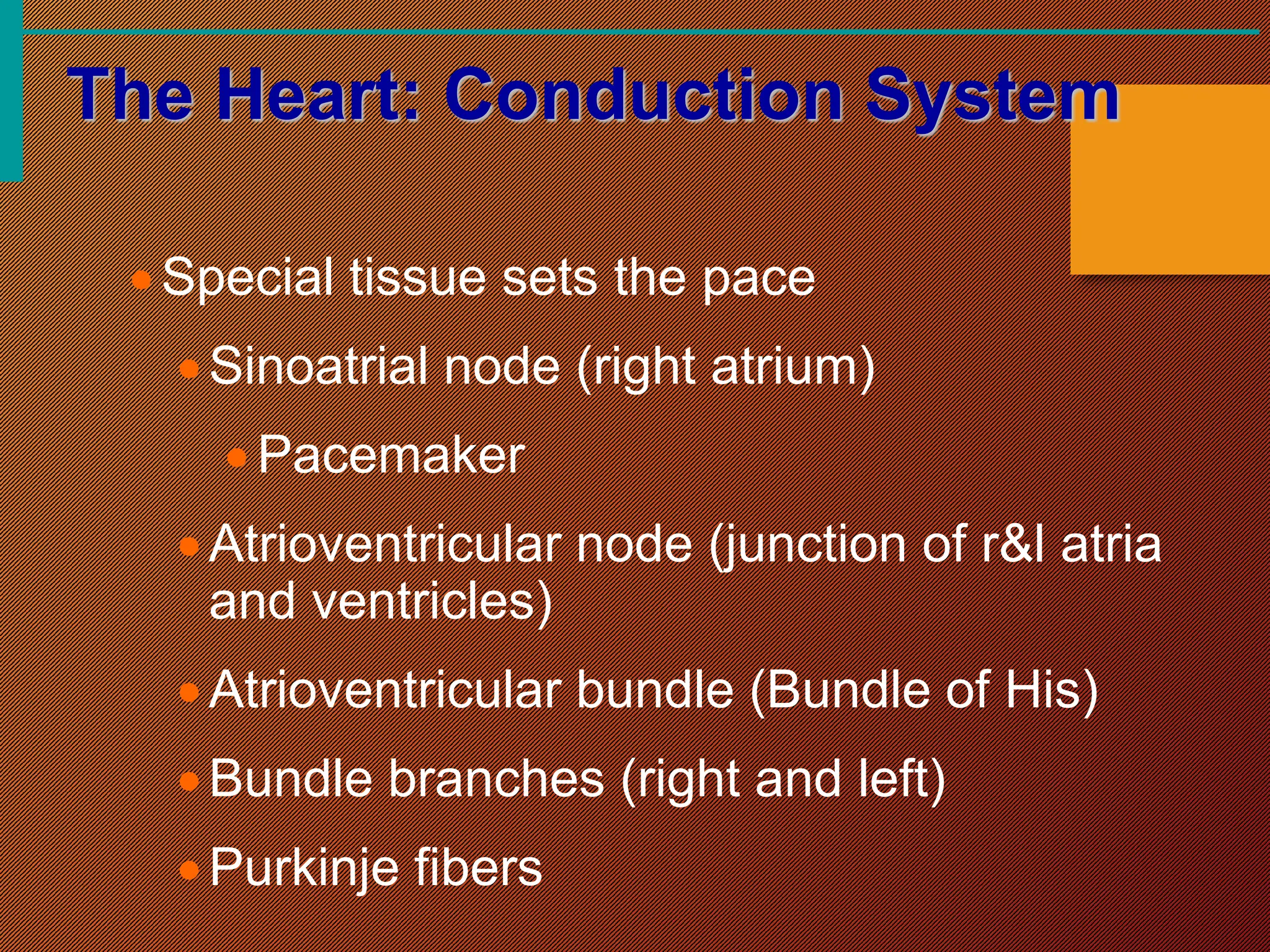 CARDIOVASCULAR SYSTEM OF THE BODY. ANATOMY | PPT