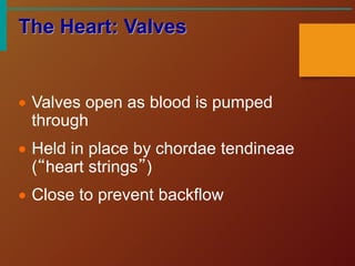 CARDIOVASCULAR SYSTEM OF THE BODY. ANATOMY | PPT