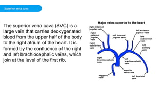 CardioVascular cross Sectional Anatomy .ppt