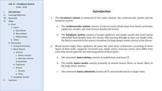 Comprehensive Histology and Anatomy of the Circulatory System | PDF