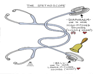 The Stethoscope 