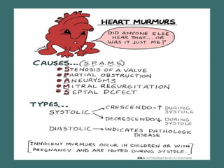 Heart Murmurs 