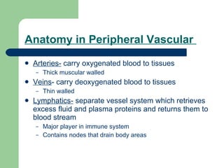 Anatomy in Peripheral Vascular  Arteries-  carry oxygenated blood to tissues Thick muscular walled Veins - carry deoxygenated blood to tissues Thin walled Lymphatics-  separate vessel system which retrieves excess fluid and plasma proteins and returns them to blood stream Major player in immune system Contains nodes that drain body areas 
