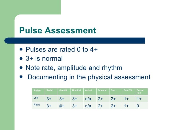 Normal Radial Pulse