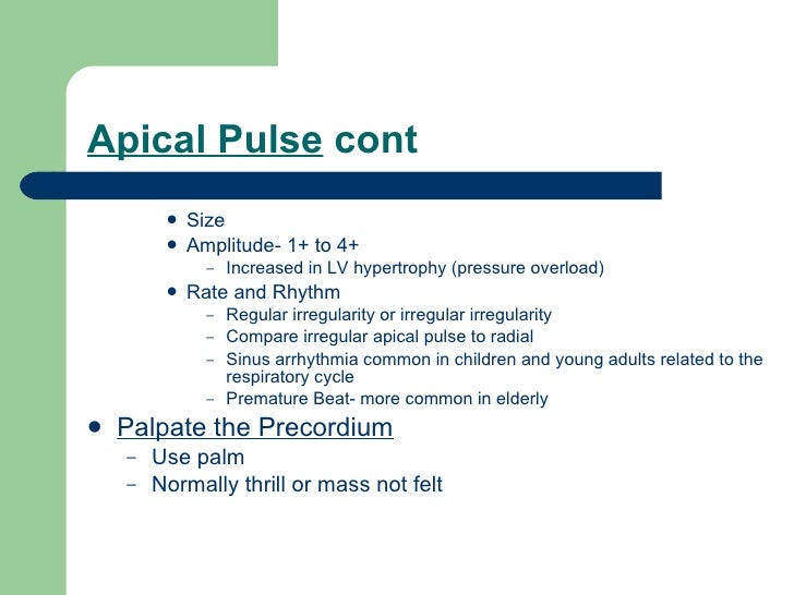 Apical Apical