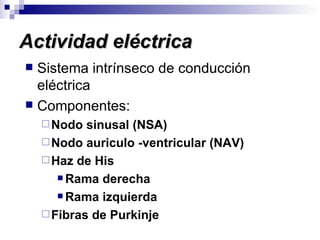 Actividad eléctrica Sistema intrínseco de conducción eléctrica Componentes: Nodo sinusal (NSA) Nodo auriculo -ventricular (NAV) Haz de His Rama derecha Rama izquierda Fibras de Purkinje 