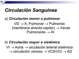 Circulación Sanguínea a)  Circulación menor o pulmonar VD    A. Pulmonar    Pulmones (membrana alveolo-capilar)    Venas Pulmonares    AI  b)  Circulación mayor o sistémica VI    Aorta    circulación arterial sistémica    circulación venosa    VCS/VCI    AD  