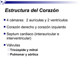 Estructura del Corazón 4 cámaras:  2 aurículas y 2 ventrículos Corazón derecho y corazón izquierdo Septum cardiaco (interauricular e interventricular) Válvulas Tricúspide y mitral Pulmonar y aórtica 