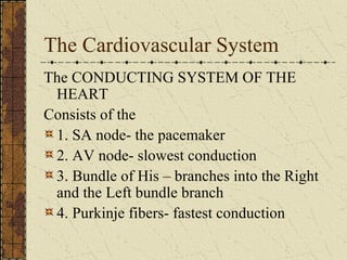 The Cardiovascular System The CONDUCTING SYSTEM OF THE HEART Consists of the 1. SA node- the pacemaker 2. AV node- slowest conduction 3. Bundle of His – branches into the Right and the Left bundle branch 4. Purkinje fibers- fastest conduction 