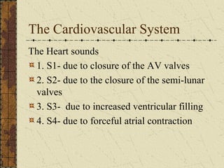 The Heart sounds 1. S1- due to closure of the AV valves 2. S2- due to the closure of the semi-lunar valves 3. S3-  due to increased ventricular filling 4. S4- due to forceful atrial contraction  The Cardiovascular System 
