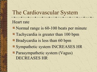 The Cardiovascular System Heart rate Normal range is 60-100 beats per minute Tachycardia is greater than 100 bpm Bradycardia is less than 60 bpm Sympathetic system INCREASES HR Parasympathetic system (Vagus) DECREASES HR 