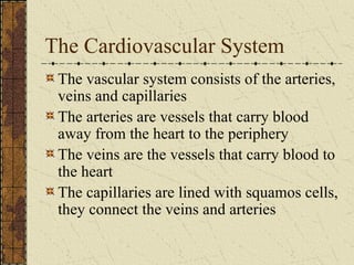 The Cardiovascular System The vascular system consists of the arteries, veins and capillaries The arteries are vessels that carry blood away from the heart to the periphery The veins are the vessels that carry blood to the heart The capillaries are lined with squamos cells, they connect the veins and arteries 