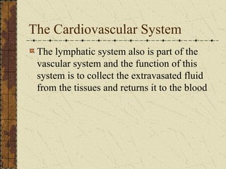 The Cardiovascular System The lymphatic system also is part of the vascular system and the function of this system is to collect the extravasated fluid from the tissues and returns it to the blood 