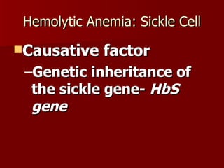 Hemolytic Anemia: Sickle Cell Causative factor Genetic inheritance of the sickle gene-  HbS gene 