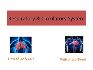 Respiratory & Circulatory System
Path of the BloodFlow of O2 & CO2
 