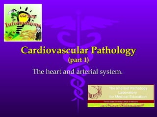 Cardiovascular Pathology (part 1) The heart and arterial system.  