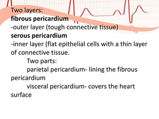 CARDIOVASCULAR-SYSTEM-1.pptx