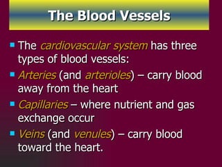 The Blood Vessels ,[object Object],[object Object],[object Object],[object Object]