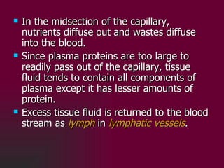 <ul><li>In the midsection of the capillary, nutrients diffuse out and wastes diffuse into the blood.  </li></ul><ul><li>Si...