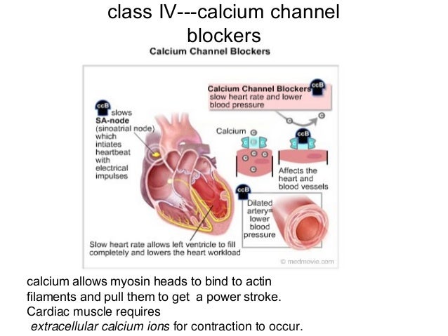 do calcium channel blockers affect potassium