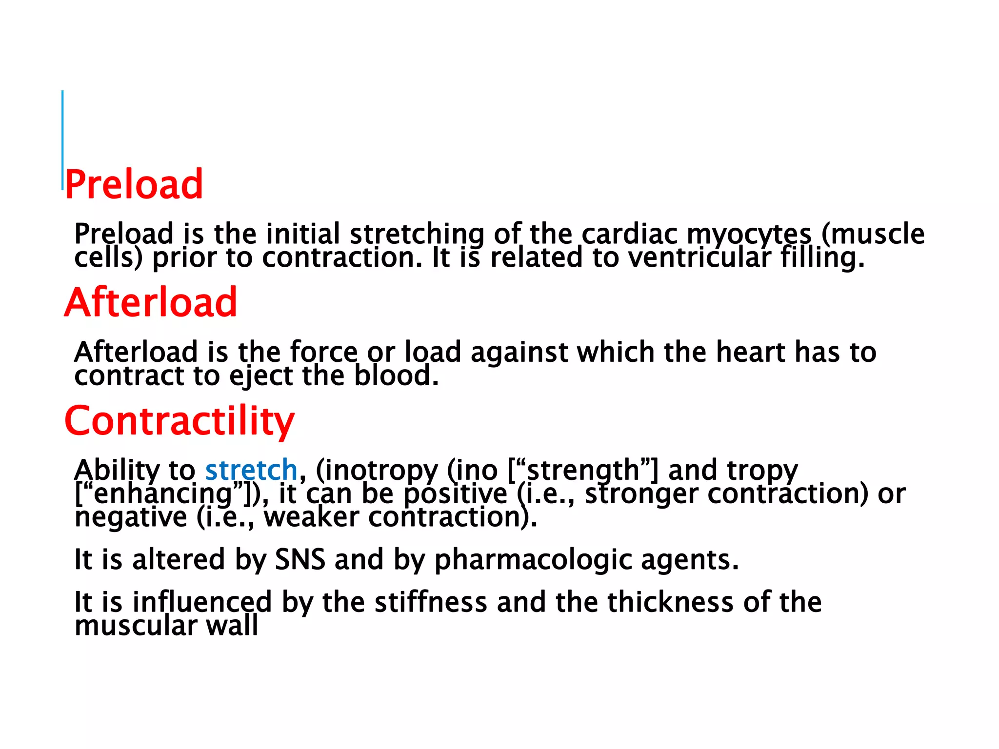 Cardiovascular Anatomy.pptx