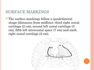 SURFACE MARKINGS
 The surface markings follow a quadrilateral
shape (distances from midline): third right costal
cartilage (2 cm), second left costal cartilage (3
cm), fifth left intercostal space (7 cm) and sixth
right costal cartilage (2 cm).
 