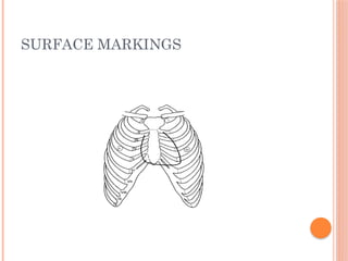 SURFACE MARKINGS
 