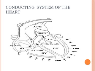 CONDUCTING SYSTEM OF THE
HEART
 