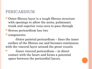PERICARDIUM
 Outer fibrous layer is a tough fibrous structure
with openings to allow the aorta, pulmonary
trunk and superior vena cava to pass through
 Serous pericardium has two
 components:
-Outer parietal pericardium – lines the inner
surface of the fibrous sac and becomes continuous
with the visceral layer around the great vessels
 -Inner visceral pericardium – in direct
contact with the heart and forms a potential
space between the pericardial layers.
 