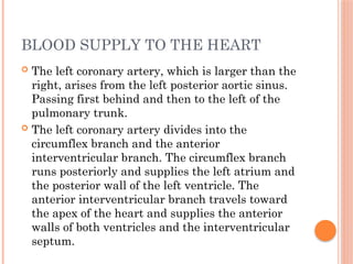 BLOOD SUPPLY TO THE HEART
 The left coronary artery, which is larger than the
right, arises from the left posterior aortic sinus.
Passing first behind and then to the left of the
pulmonary trunk.
 The left coronary artery divides into the
circumflex branch and the anterior
interventricular branch. The circumflex branch
runs posteriorly and supplies the left atrium and
the posterior wall of the left ventricle. The
anterior interventricular branch travels toward
the apex of the heart and supplies the anterior
walls of both ventricles and the interventricular
septum.
 