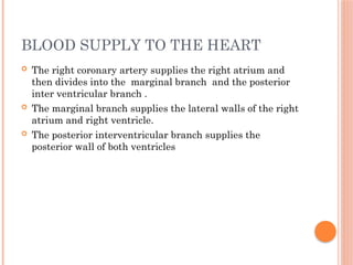 BLOOD SUPPLY TO THE HEART
 The right coronary artery supplies the right atrium and
then divides into the marginal branch and the posterior
inter ventricular branch .
 The marginal branch supplies the lateral walls of the right
atrium and right ventricle.
 The posterior interventricular branch supplies the
posterior wall of both ventricles
 