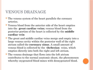 VENOUS DRAINAGE
 The venous system of the heart parallels the coronary
arteries.
 Venous blood from the anterior side of the heart empties
into the great cardiac veins; venous blood from the
posterior portion of the heart is collected by the middle
cardiac vein
 The great and middle cardiac veins merge and empty into a
large venous cavity within the posterior wall of the right
atrium called the coronary sinus. A small amount of
venous blood is collected by the thebesian veins, which
empties directly into both the right and left atrium.
 The venous drainage that flows into the left atrium
contributes to the normal anatomic shunt, the phenomenon
whereby oxygenated blood mixes with deoxygenated blood.
 