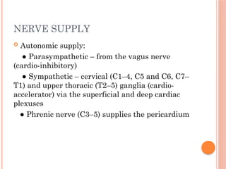 NERVE SUPPLY
 Autonomic supply:
● Parasympathetic – from the vagus nerve
(cardio-inhibitory)
● Sympathetic – cervical (C1–4, C5 and C6, C7–
T1) and upper thoracic (T2–5) ganglia (cardio-
accelerator) via the superficial and deep cardiac
plexuses
● Phrenic nerve (C3–5) supplies the pericardium
 