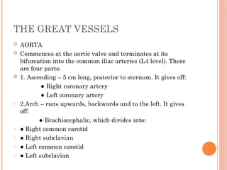 THE GREAT VESSELS
 AORTA
 Commences at the aortic valve and terminates at its
bifurcation into the common iliac arteries (L4 level). There
are four parts:
 1. Ascending – 5 cm long, posterior to sternum. It gives off:
● Right coronary artery
● Left coronary artery
o 2.Arch – runs upwards, backwards and to the left. It gives
off:
● Brachiocephalic, which divides into:
o ● Right common carotid
o ● Right subclavian
o ● Left common carotid
o ● Left subclavian
 
