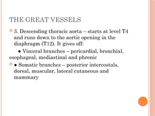 THE GREAT VESSELS
 3. Descending thoracic aorta – starts at level T4
and runs down to the aortic opening in the
diaphragm (T12). It gives off:
● Visceral branches – pericardial, bronchial,
esophageal, mediastinal and phrenic
 ● Somatic branches – posterior intercostals,
dorsal, muscular, lateral cutaneous and
mammary
 