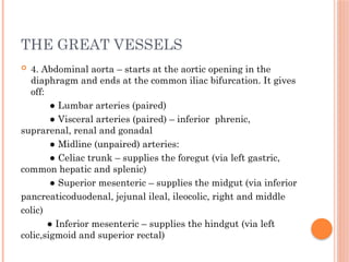 THE GREAT VESSELS
 4. Abdominal aorta – starts at the aortic opening in the
diaphragm and ends at the common iliac bifurcation. It gives
off:
● Lumbar arteries (paired)
● Visceral arteries (paired) – inferior phrenic,
suprarenal, renal and gonadal
● Midline (unpaired) arteries:
● Celiac trunk – supplies the foregut (via left gastric,
common hepatic and splenic)
● Superior mesenteric – supplies the midgut (via inferior
pancreaticoduodenal, jejunal ileal, ileocolic, right and middle
colic)
● Inferior mesenteric – supplies the hindgut (via left
colic,sigmoid and superior rectal)
 