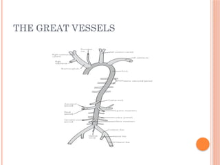 THE GREAT VESSELS
 