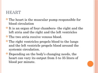 HEART
 The heart is the muscular pump responsible for
blood circulation
 It is an organ of four chambers- the right and the
left atria and the right and the left ventricles
 The two atria receive venous blood.
 The right ventricles propels blood to the lungs
and the left ventricle propels blood around the
systemic circulation.
 Depending on the body’s changing needs, the
heart can vary its output from 5 to 35 liters of
blood per minute.
 