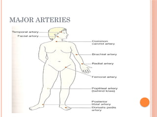 MAJOR ARTERIES
 