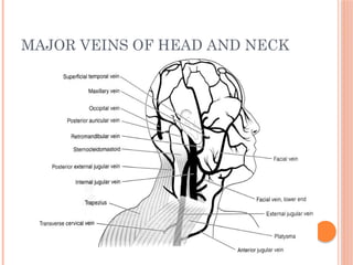 MAJOR VEINS OF HEAD AND NECK
 