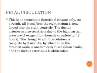 FETAL CIRCULATION
 This is an immediate functional closure only. As
a result, all blood from the right atrium is now
forced into the right ventricle. The ductus
arteriosus also constricts due to the high partial
pressure of oxygen (functionally complete by 12
hours). The change to adult circulation is
complete by 3 months, by which time the
foramen ovale is anatomically fused (fossa ovalis)
and the ductus arteriosus is obliterated.
 
