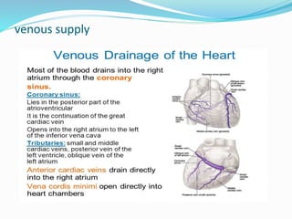 venous supply
 