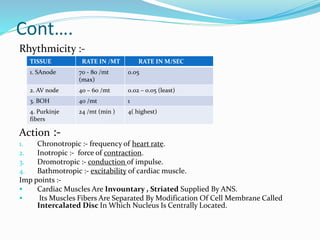 Cont….
Rhythmicity :-
Action :-
1. Chronotropic :- frequency of heart rate.
2. Inotropic :- force of contraction.
3. Dromotropic :- conduction of impulse.
4. Bathmotropic :- excitability of cardiac muscle.
Imp points :-
 Cardiac Muscles Are Invountary , Striated Supplied By ANS.
 Its Muscles Fibers Are Separated By Modification Of Cell Membrane Called
Intercalated Disc In Which Nucleus Is Centrally Located.
TISSUE RATE IN /MT RATE IN M/SEC
1. SAnode 70 - 80 /mt
(max)
0.05
2. AV node 40 – 60 /mt 0.02 – 0.05 (least)
3. BOH 40 /mt 1
4. Purkinje
fibers
24 /mt (min ) 4( highest)
 