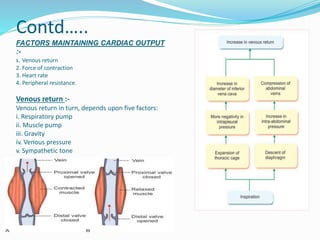 Contd…..
FACTORS MAINTAINING CARDIAC OUTPUT
:-
1. Venous return
2. Force of contraction
3. Heart rate
4. Peripheral resistance.
Venous return :-
Venous return in turn, depends upon five factors:
i. Respiratory pump
ii. Muscle pump
iii. Gravity
iv. Venous pressure
v. Sympathetic tone
 