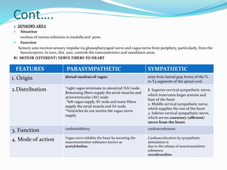 Cont….
3. „SENSORY AREA
 Situation
nucleus of tractus solitarius in medulla and pons.
 Function
Sensory area receives sensory impulse via glossopharyngeal nerve and vagus nerve from periphery, particularly, from the
baroreceptors. In turn, this area controls the vasoconstrictor and vasodilator areas
B) MOTOR (EFFERENT) NERVE FIBERS TO HEART
FEATURES PARASYMPATHETIC SYMPATHETIC
1. Origin dorsal nucleus of vagus. arise from lateral gray horns of the T1
to T4 segments of the spinal cord.
2.Distribution *right vagus terminate in sinoatrial (SA) node.
Remaining fibers supply the atrial muscles and
atrioventricular (AV) node
*left vagus supply AV node and some fibers
supply the atrial muscle and SA node.
*Ventricles do not receive the vagus nerve
supply.
1. Superior cervical sympathetic nerve,
which innervates larger arteries and
base of the heart
2. Middle cervical sympathetic nerve,
which supplies the rest of the heart
3. Inferior cervical sympathetic nerve,
which serves assensory (afferent)
nerve from the heart.
3. Function cardioinhibitory cardioaccelerators
4. Mode of action Vagus nerve inhibits the heart by secreting the
neurotransmitter substance known as
acetylcholine.
Cardioacceleration by sympathetic
stimulation is
due to the release of neurotransmitter
substance,
noradrenaline.
 
