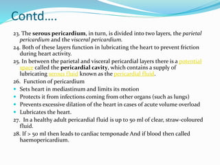 Contd….
23. The serous pericardium, in turn, is divided into two layers, the parietal
pericardium and the visceral pericardium.
24. Both of these layers function in lubricating the heart to prevent friction
during heart activity.
25. In between the parietal and visceral pericardial layers there is a potential
space called the pericardial cavity, which contains a supply of
lubricating serous fluid known as the pericardial fluid.
26. Function of pericardium
 Sets heart in mediastinum and limits its motion
 Protects it from infections coming from other organs (such as lungs)
 Prevents excessive dilation of the heart in cases of acute volume overload
 Lubricates the heart.
27. In a healthy adult pericardial fluid is up to 50 ml of clear, straw-coloured
fluid.
28. If > 50 ml then leads to cardiac temponade And if blood then called
haemopericardium.
 