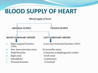 BLOOD SUPPLY OF HEART
Blood supply of heart
ARTERIAL SUPPLY VENOUS SUPPLY
RIGHT CORONARY ARTERY LEFT CORONARY ARTERY
a) Right marginal branches a) ant interventricular branches/ AIVA/
LADA
b) Post. Interventricular artery b) circumflex artery
c) Nodal branches c) branches to diaphragmatics surface
d) Right atrial d) left atrial
e) Infundibular e) pulmonary
f) Terminal branches f) terminal
 