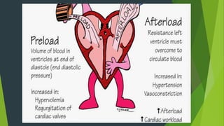 cardiovascular and peripheral assessment.pptx