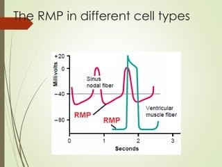 Type 2w Rmp Cardiovascular and vyana vayu Ayurveda.pptx