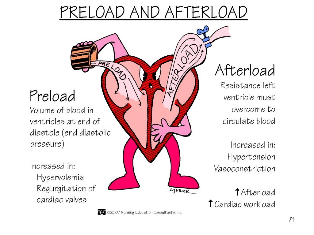 Cardiovascular Assessment cardiovascular-assessment